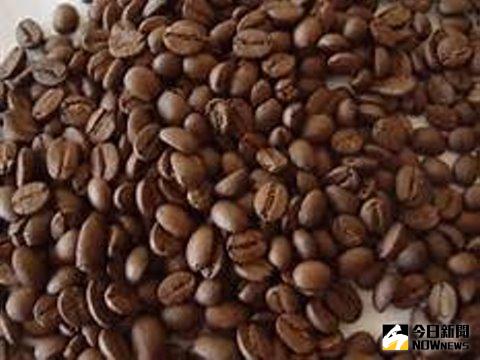 咖啡豆烘焙實務很夯，相關課程受民眾喜愛。