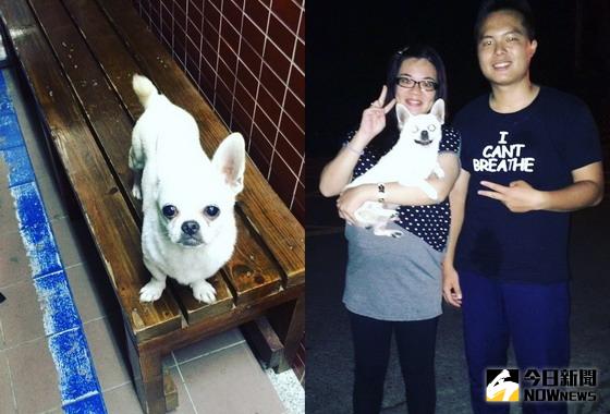 ▲吳姓女飼主看見PO文，高興的找回毛小孩，稱讚警員李亦騏〈右〉非常熱心且有愛心。〈圖／記者黃玿琮翻攝〉