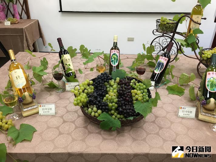 ▲台灣也有葡萄酒？連品酒師也說讚。（圖／農委會提供）