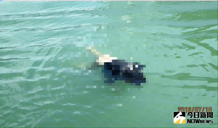 ▲。（圖／翻攝自網路）