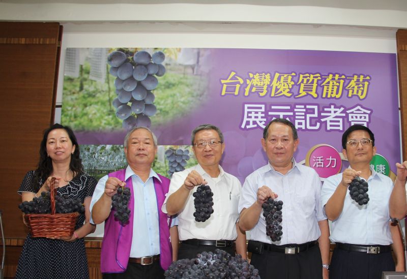▲台灣葡萄超好吃！但你知道國產葡萄還有分級嗎？（圖／公關提供）