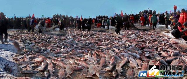▲一帶一路／黑龍江水系發達，魚類資源豐富，圖為鏡泊湖冬捕場景。（圖／黑龍江省提供）