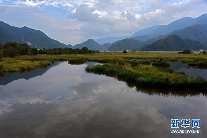 神農架大九湖風光（8月29日攝）。