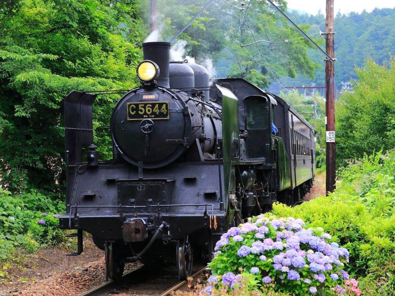 ▲SL急行擁有一般列車所沒有的氣勢，值得親自體驗搭乘。（圖／樂天旅遊提供）