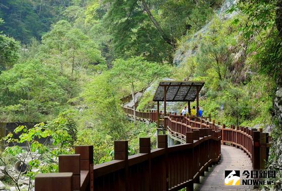 ▲八仙山國家森林遊樂區內森林浴步道，全長約5公里，步道蜿蜒林木參天，景色優美。〈圖／東勢林區管理處提供〉