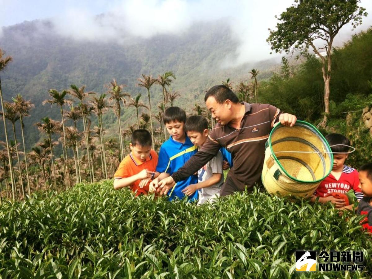 ▲農糧署推動茶葉強制溯源制度，規範自1日起，產製的國產茶應標示溯源資訊。（記者簡勇鵬攝）