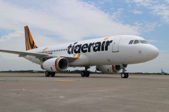 ▲受到妮妲颱風影響，台灣虎航公布最新航班異動情形。（圖／台灣虎航提供）