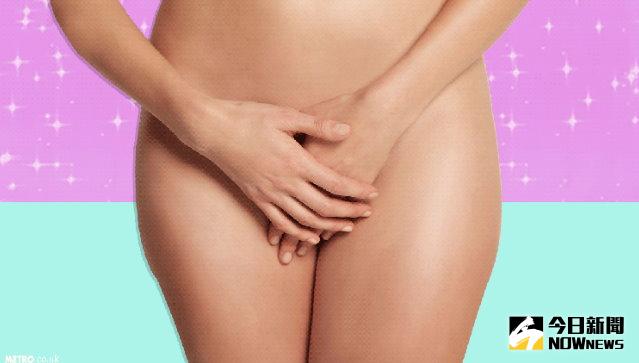 ▲你對女性的生殖器官了解嗎？（圖／翻攝自《都市報》）