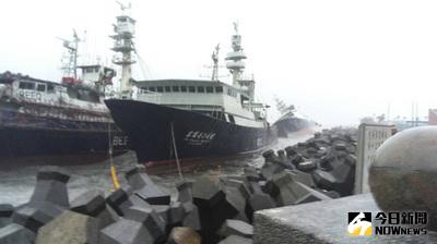 颱風莫蘭蒂侵襲高雄地區，造成高雄港第一港口北防波堤4艘漁船碰撞擱淺及一名船員落海死亡；港務單位15日持續監控船隻，研議後續處理方式維護港區安全。（高雄市海洋局提供）中央社記者陳朝福傳真  105年9月15日
