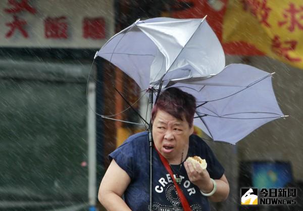 ▲台灣大媽登國際媒體，傘開吃肉包照爆紅。（圖／翻攝自《華爾街日報》）