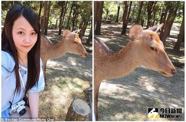 台灣美女動物園自拍：背景小鹿斜眼鄙視。