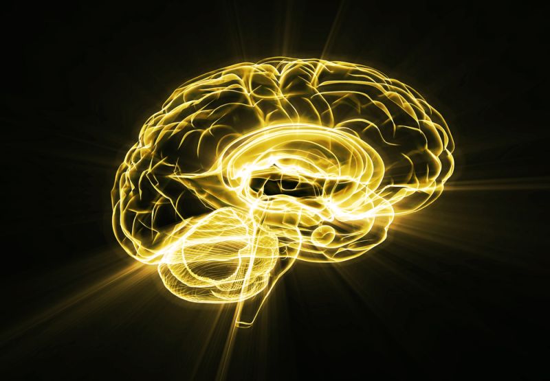 ▲寶寶腦部與各器官的發育，在胎兒時期就受到媽媽營養攝取與環境刺激所影響，出生後到3歲前，更是持續快速發育的黃金時期。（圖／資料照片）