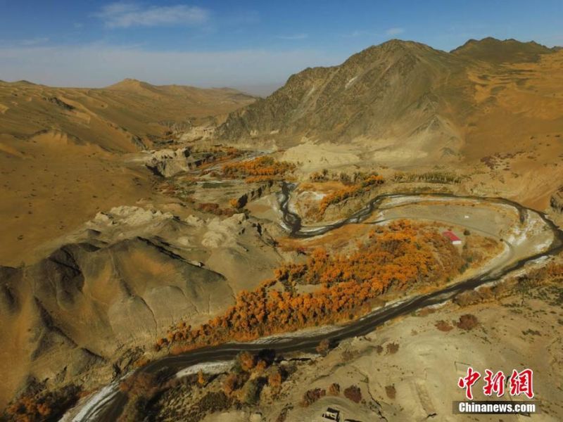 甘肅西端阿克塞戈壁「胡楊峽」色彩斑斕。