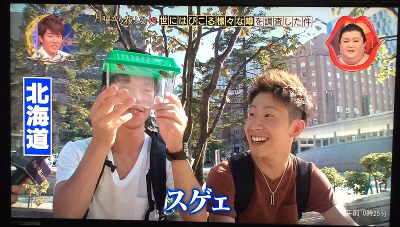 ▲北海道民眾在看見蟑螂後覺得很興奮。（圖／翻攝自koararyota推特）