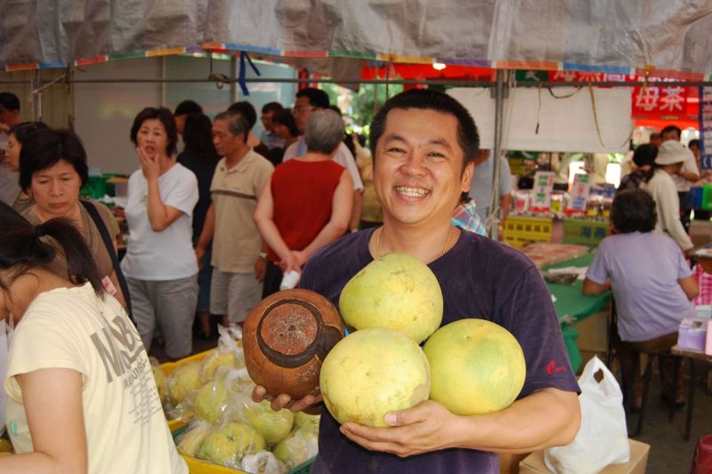 ▲許益堂家族栽種的正宗麻豆大白柚，果大、多汁、味甘甜，特價提供大台南鄉親享用。