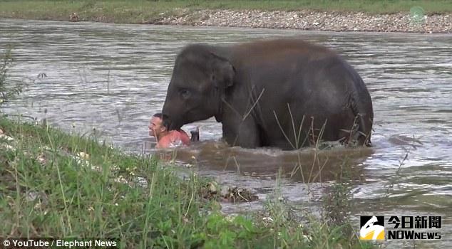 ▲坎拉用身體保護達里克，將對方護送上岸。（圖／翻攝自.dailymail）