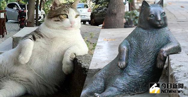 ▲網路梗圖淡定肥貓辭世，紀念雕像今落成。（圖／翻攝自imgur）