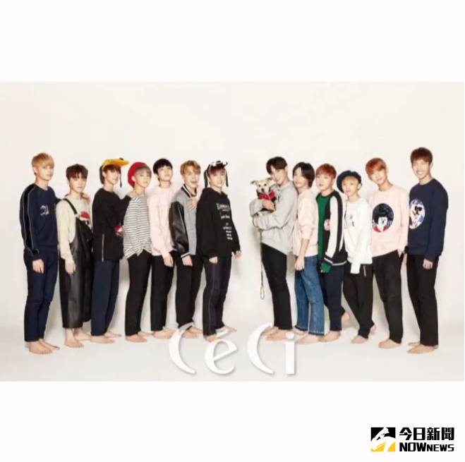 ▲SEVENTEEN隊內最高和最矮成員相差20公分以上。（圖／翻攝自CECI IG）