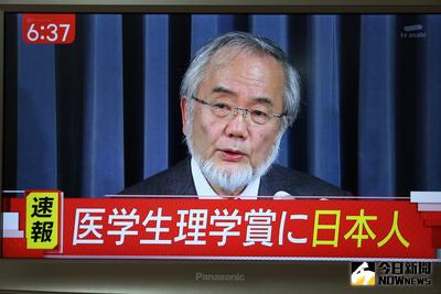 今年諾貝爾醫學暨生理學獎得主揭曉，由77歲的日本東京工業大學榮譽教授大隅良典榮獲。（翻拍自朝日電視台）中央社記者楊明珠東京攝　105年10月3日