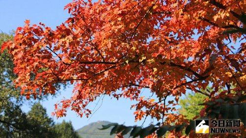 盤點北京八大賞秋勝地，地壇頤和園秋景正當時。