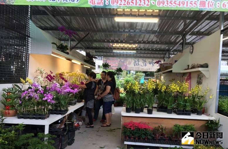 ▲新店花市週六開幕　買花逛街選擇多