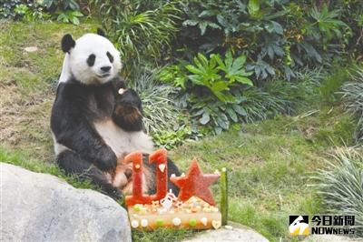 全球最長壽圈養大熊貓「佳佳」在香港安樂死離世。