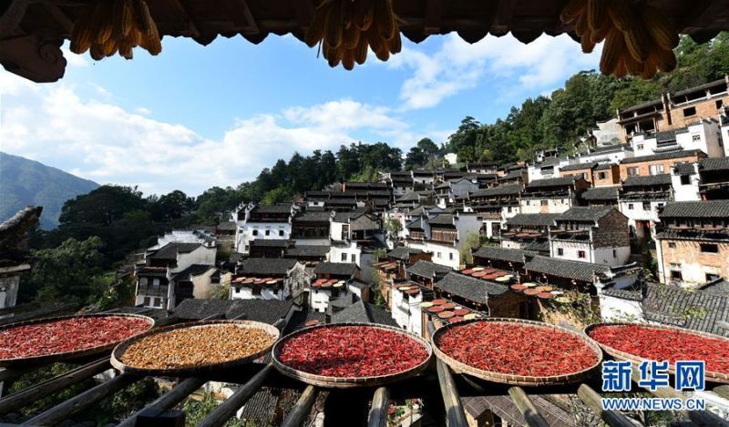 江西婺源：山村曬秋圖。
