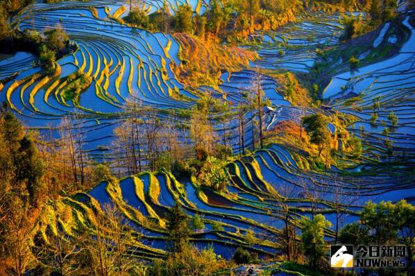 盤點大陸8大梯田，怎一個美字了得。