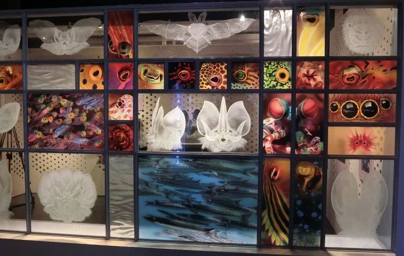 ▲圖說: 科博館推出《異能者—奇幻生存術》特展，其中超視覺系生物則是透過一片玻璃牆刻畫出各種水生生物的眼睛，鮮麗多彩。（記者賴淑禎攝）