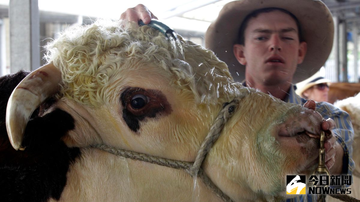 ▲在日本物價飆漲、日幣貶值的情況下，不少越南勞工改前往德國和澳洲工作。示意圖。（圖／達志影像／美聯社）