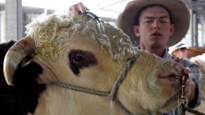 不想待了！日圓暴跌、通膨飆升　越勞急收包袱改往「這2國」淘金
