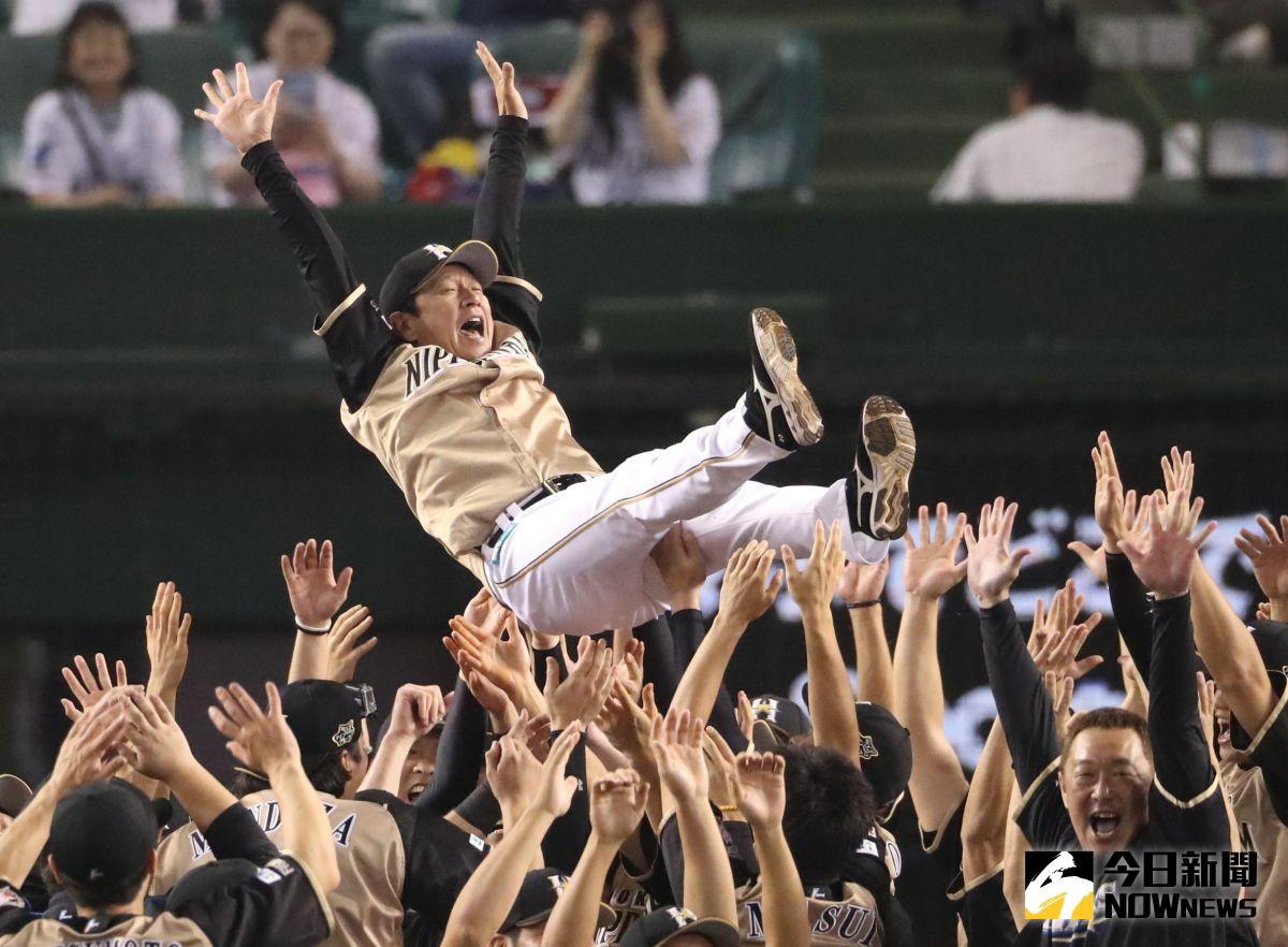 ▲火腿隊總教練栗山英樹。（圖／美聯社／達志影像）