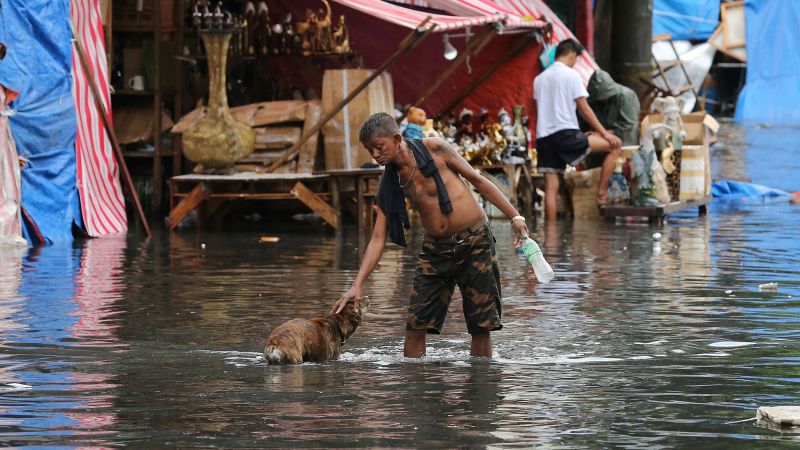 ▲強颱納坦聖誕節襲印度，一名老人與他的小狗走過嚴重淹水的街道。（圖／達志影像／美聯社）