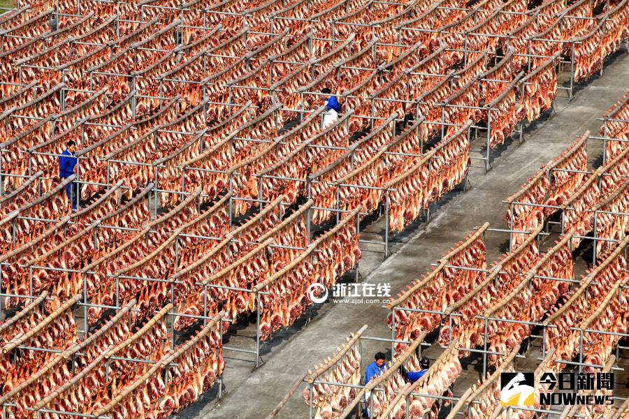 12月2日，東陽市南馬鎮花園村，上萬只金華火腿集體接受冬日暖陽的「沐浴」。