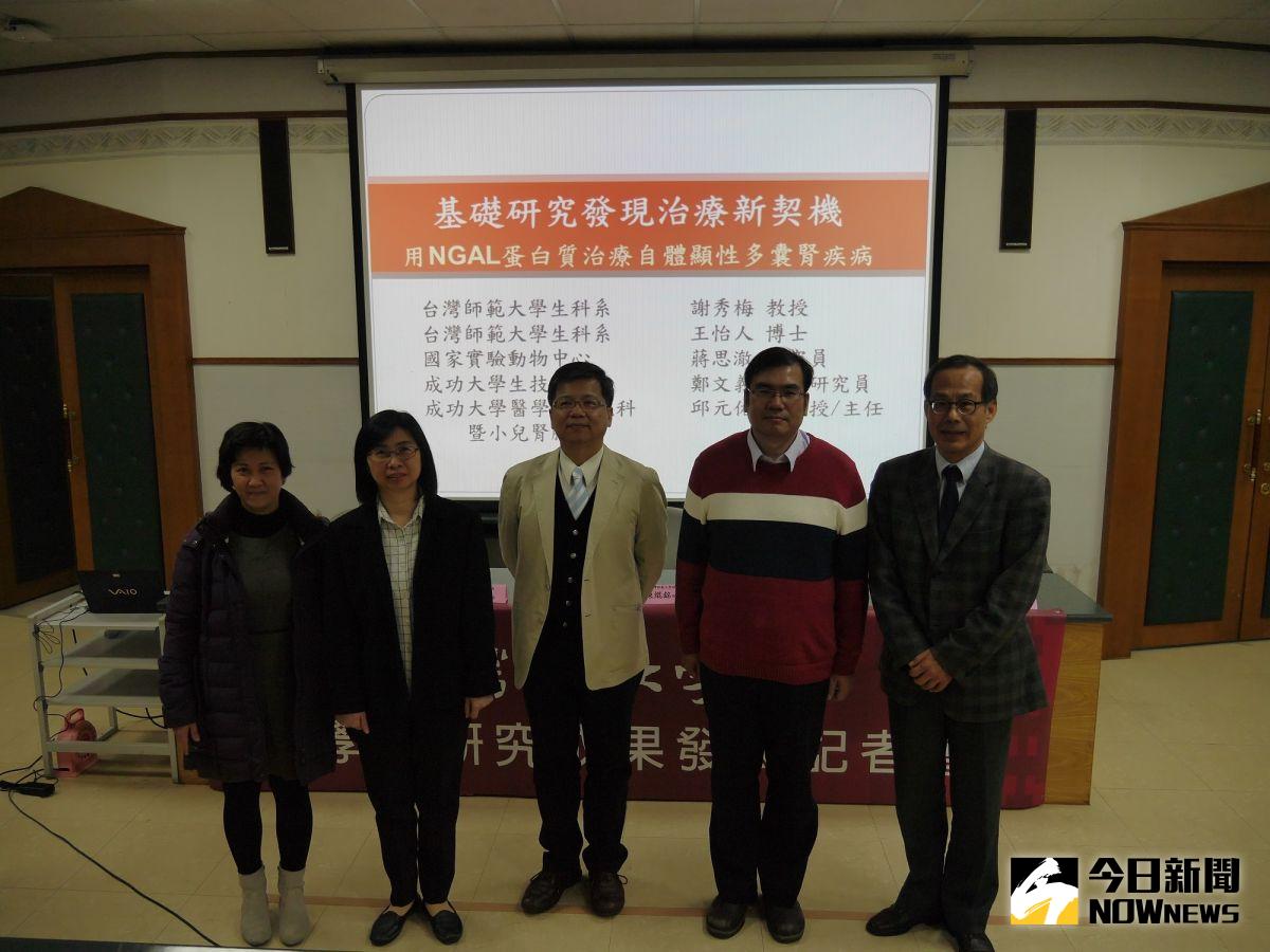 ▲由左至右依序為國立臺灣師範大學生命科學系博士生王怡人、謝秀梅教授、成大醫學院小兒腎臟科邱元佑副教授、成大生物科技中心鄭文義助理研究員及臺師大理學院院長陳焜銘。（圖／台師大提供）