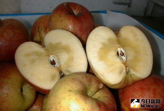 ▲福壽山農場發文解釋，其實沒有「蜜蘋果」這個品種，結蜜現象可能會發生在許多不同品種上，代表蘋果新鮮、甜度高、熟成快。（圖／NOWnews資料照）