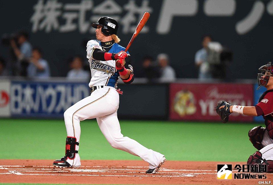 ▲陽岱鋼。（圖／取材自火腿隊官網）