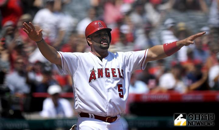▲傳奇重砲普侯斯（Albert Pujols）傳出與天使隊總管佩里米納西安（Perry Minasian）於聖路易會面，討論接任新任總教練可能性。老闆亞提莫雷諾據傳「親自欽點」他為第一人選。（圖／美聯社／達志影像）