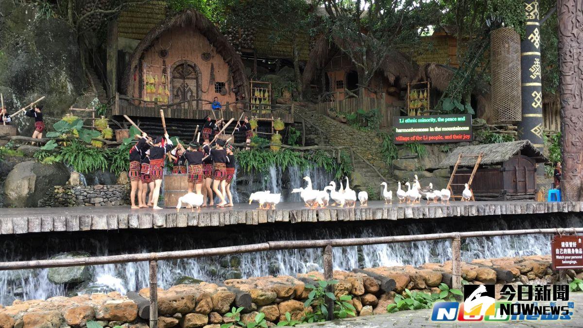 ▲海南黎族實景秀《檳榔・古韻》。（圖／記者彭媁琳攝,2016.12.20）