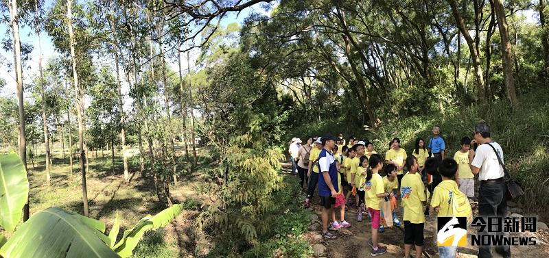 ▲「桉心園」舉辦的守護生態系列增能課程。（圖／記者鄧富珍攝）