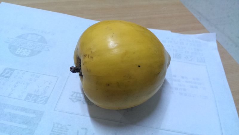 ▲台灣很少人知道的水果，味道像「芒果加地瓜」。（圖／翻攝自《Dcard》）