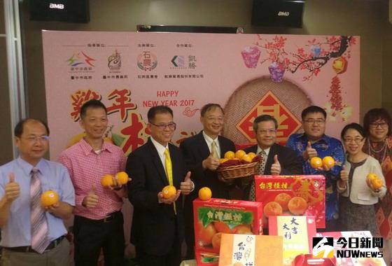 ▲石岡區農會取得全球優良農業規範GLOBAL GAP及ISO 22000包裝場的雙認證，今年椪柑外銷訂單高達100噸。〈圖／台中市政府農業局提供〉