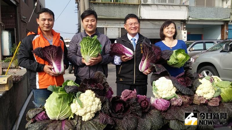 ▲紫色大白菜栽培成功，產銷班長葉榮昌（左一）創新蔬菜，市長邱建富表示值得肯定。（圖／記者鄧富珍攝）