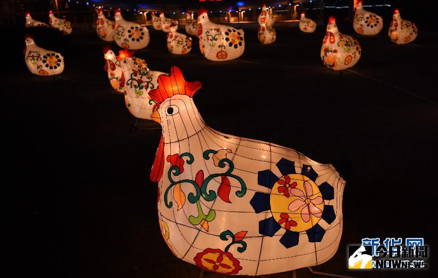 這是2月1日拍攝的青海省西寧市街頭一處雄雞造型的花燈群。