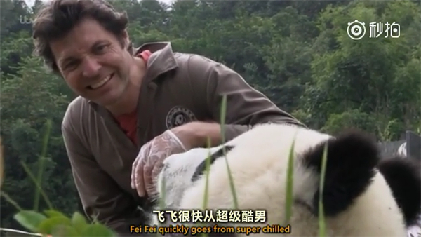 ITV電視台派了名獸醫史蒂夫·萊昂納多，到四川拍了名叫《熊貓寶寶》（Panda babies）的紀錄片。
