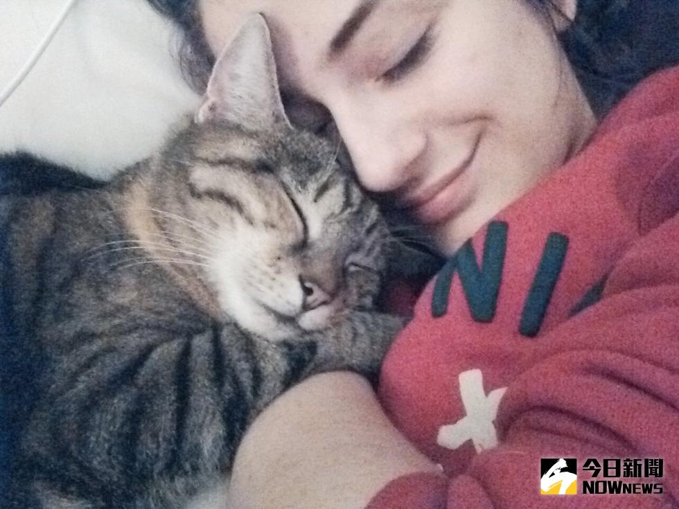 ▲Missy超愛撒嬌，總是黏在主人娜塔莎的身旁。（圖／翻攝自lovemeow）