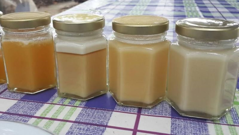 ▲各式各樣的天然蜂蜜結晶。（圖／吳謹全提供）