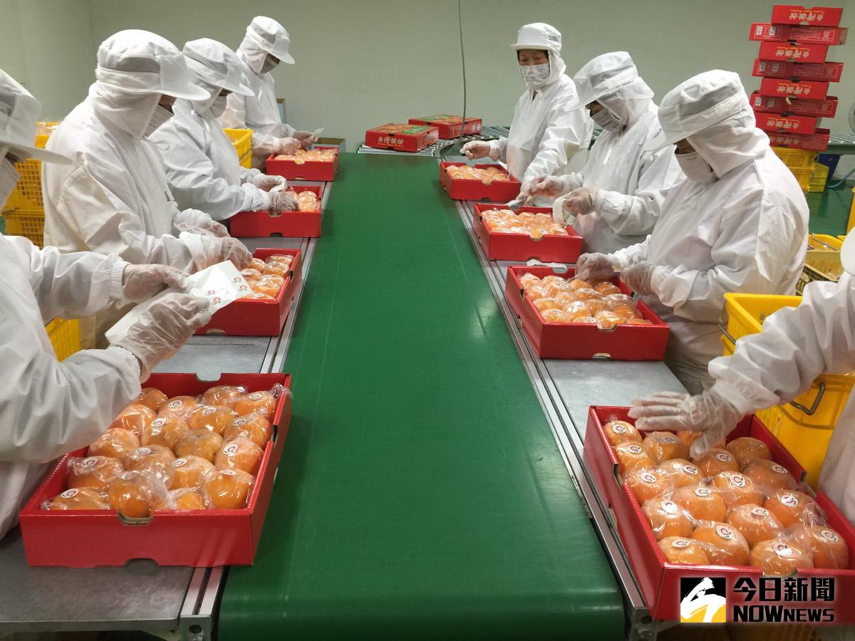 ▲石岡區農會「食品安全認證包裝場」啟用，並取得全球優良農業規範（GLOBAL GAP）及ISO 22000包裝場的雙認證。〈圖／記者黃玿琮攝〉