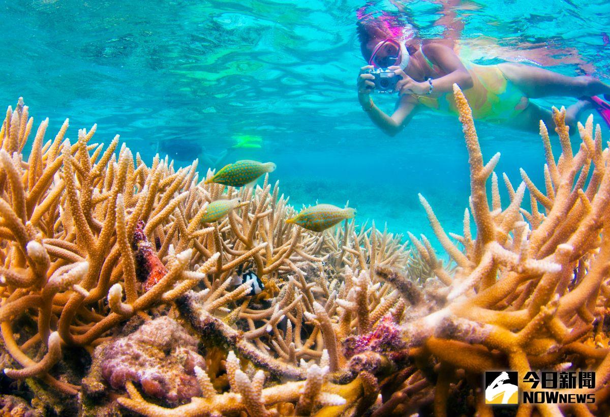 ▲關島除了杜夢灣區外，擁有原始純樸風光的南部地區也是近年熱門景點。（圖／關島觀光局）