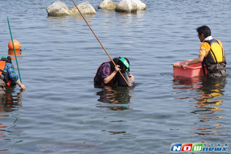 ▲來到天賣島，遊客用透視鏡尋找海中的海膽，再用竹夾子夾起來。（圖／記者呂炯昌攝影）
